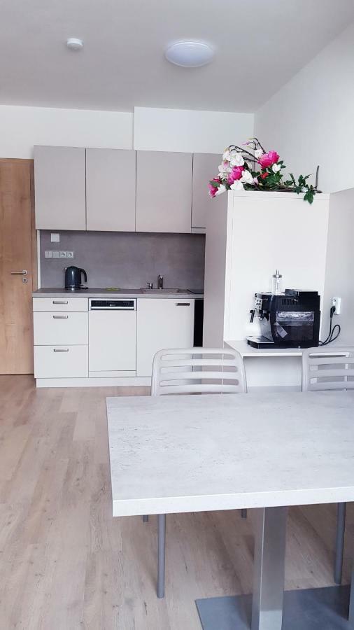 Apartmany Dolni Morava Ngoại thất bức ảnh